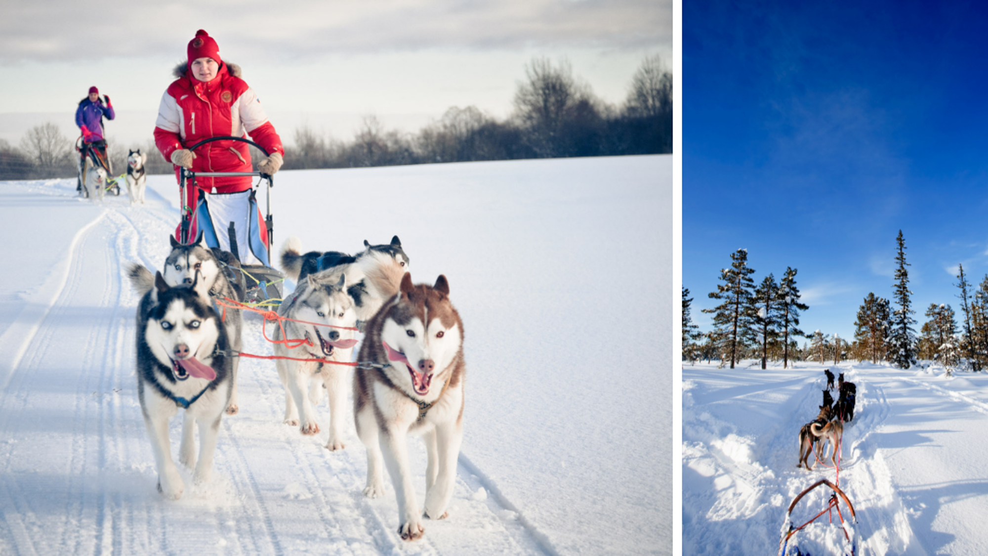 Pour profiter des joies du grand nord canadiens