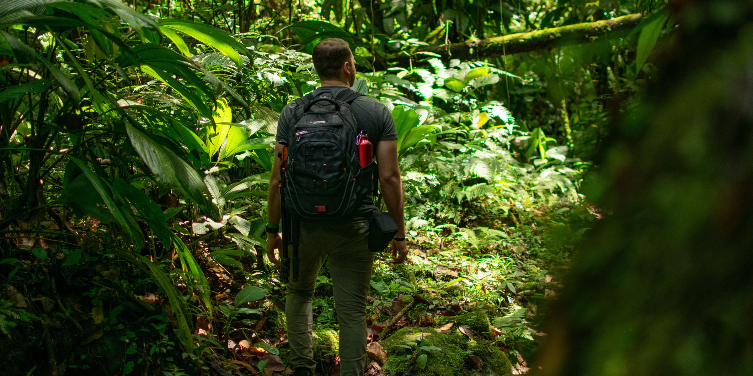 Jungle, Colombie ©juan mendez / Pexels 