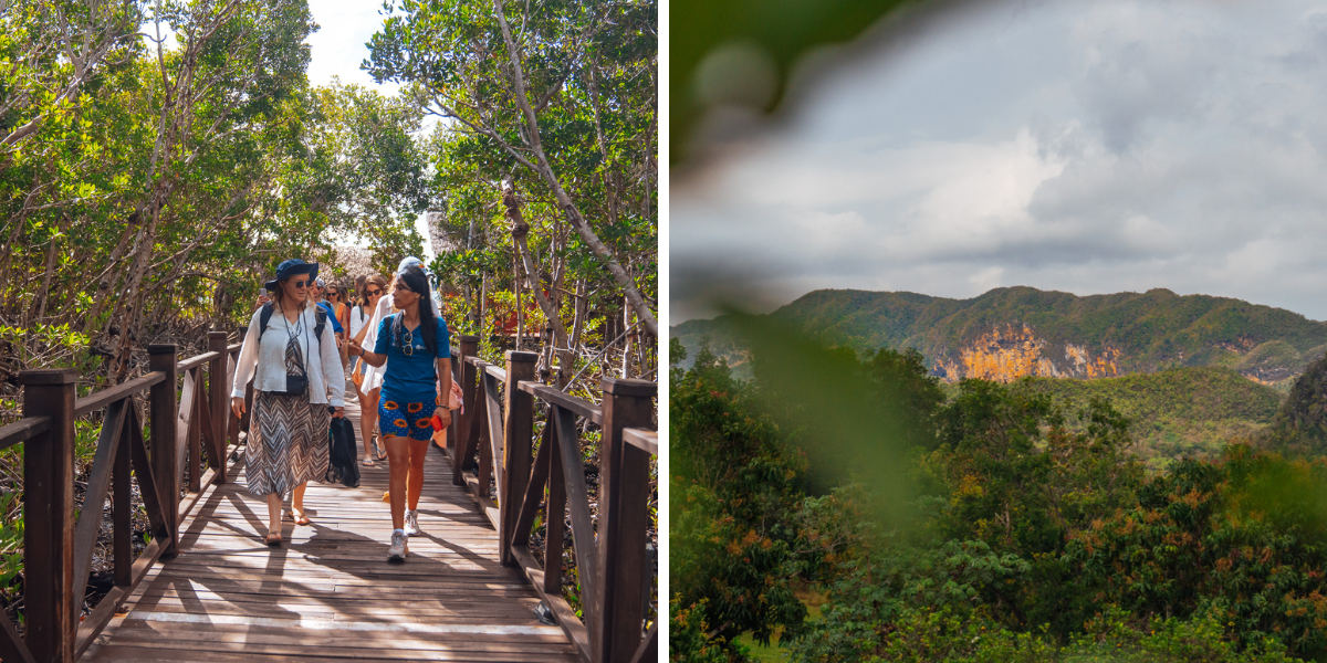Puis poursuivez au coeur de la nature cubaine 