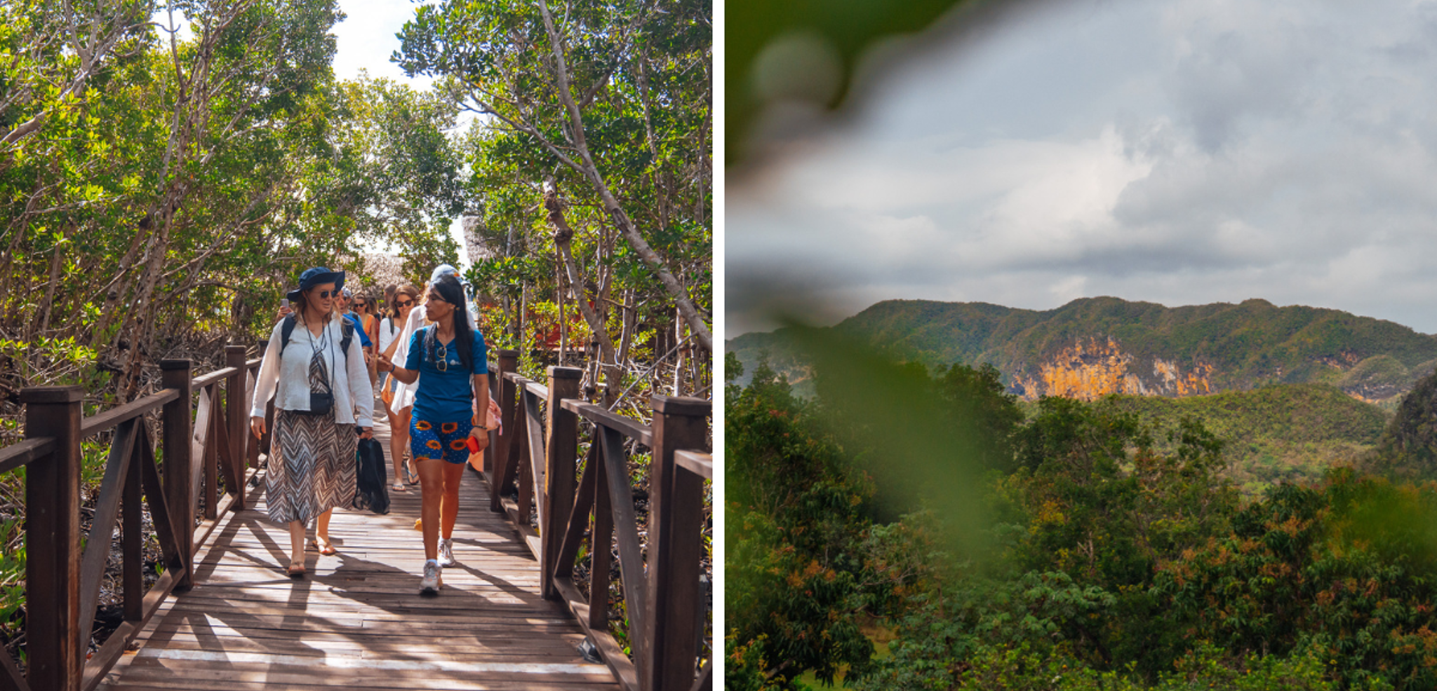 Puis poursuivez au coeur de la nature cubaine