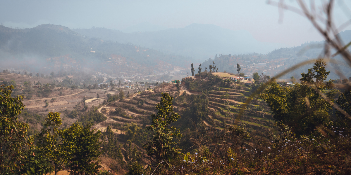Et admirez les cultures en terrasses 