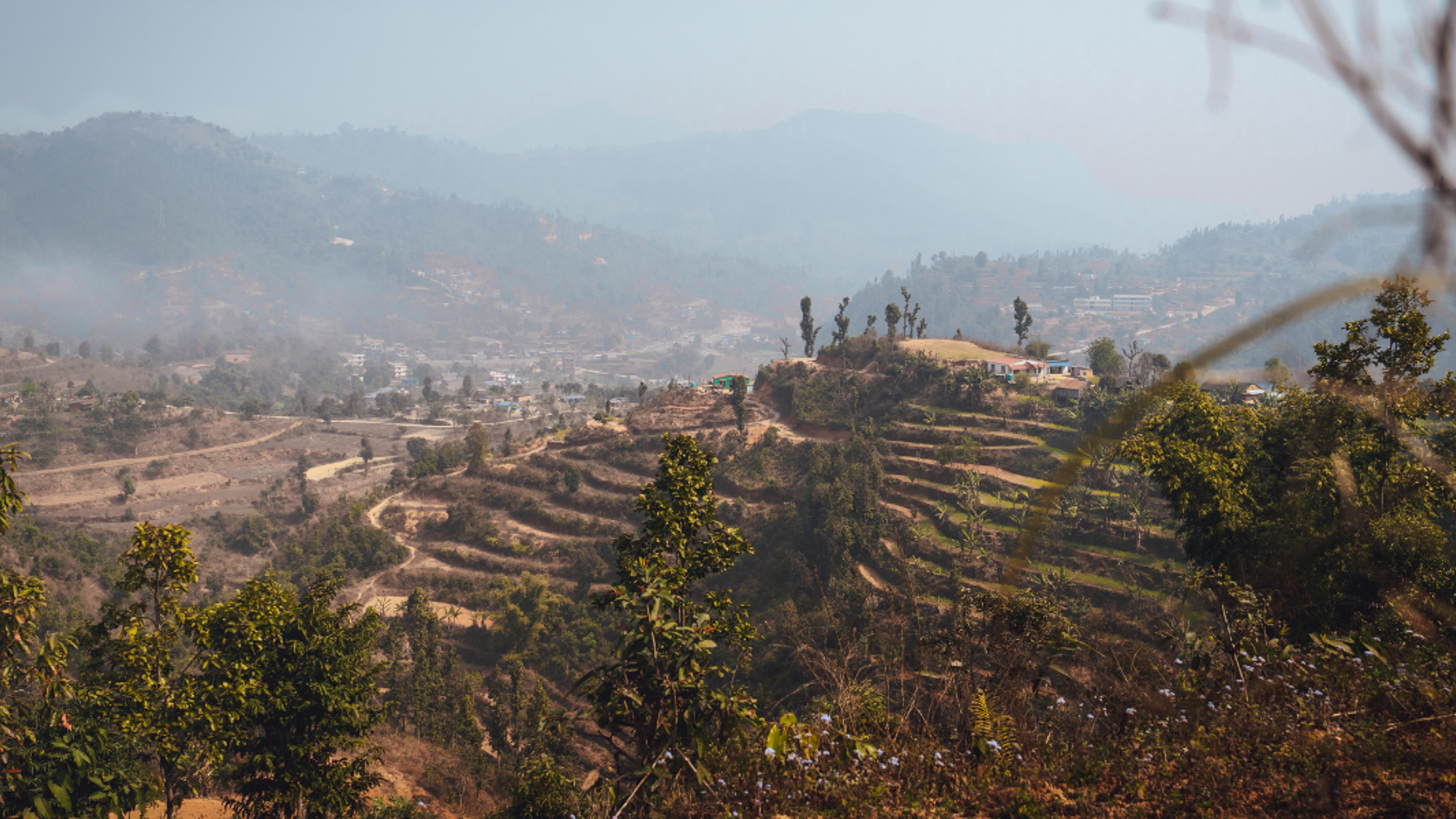 Et admirez les cultures en terrasses