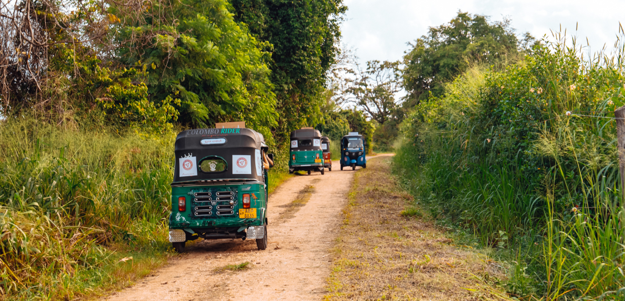 Avant de repartir sur les chemins