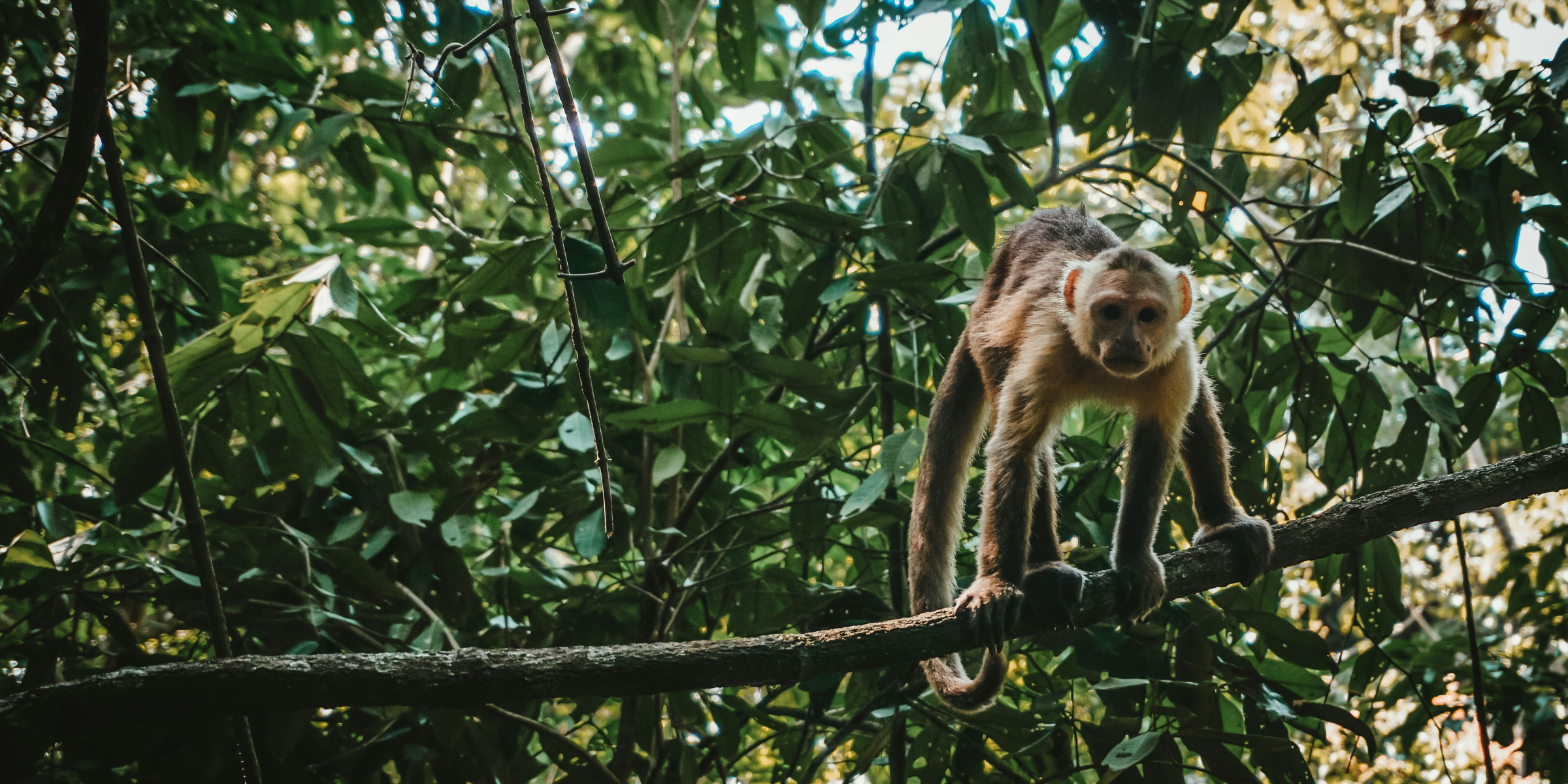 Parc national de Tayrona, Colombie ©Berend Leupen / Unsplash 