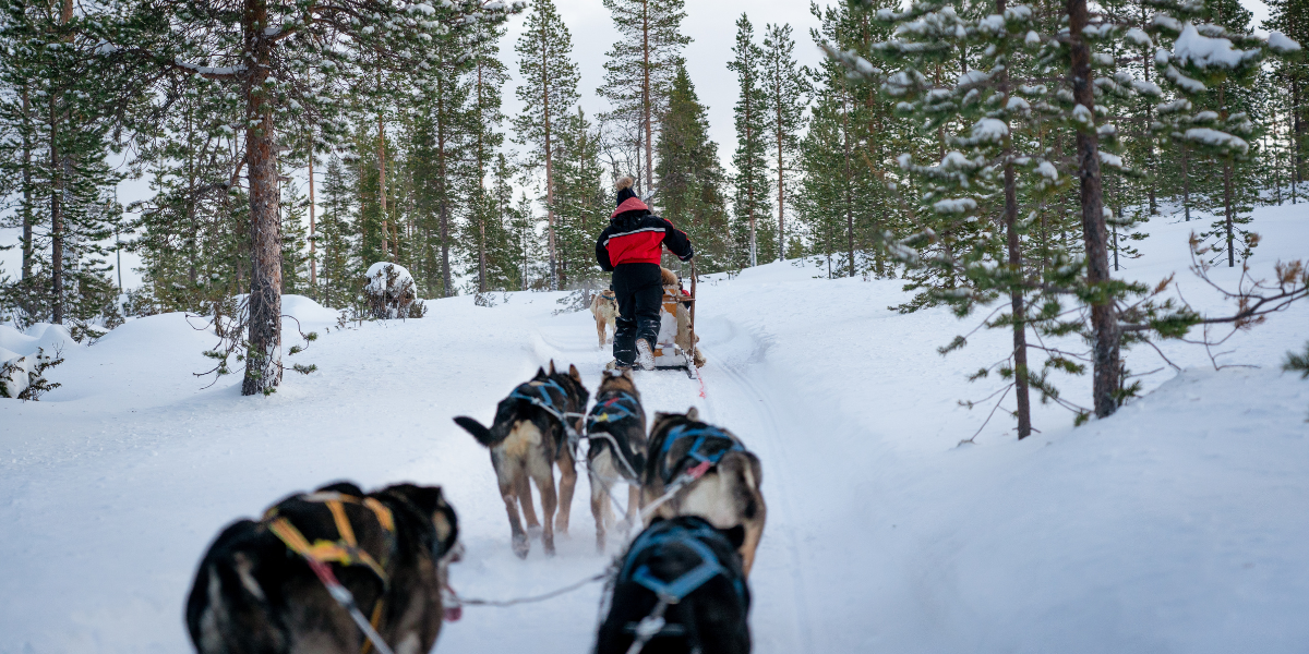 Une balade en chiens de traîneaux - jours 2 à 7 