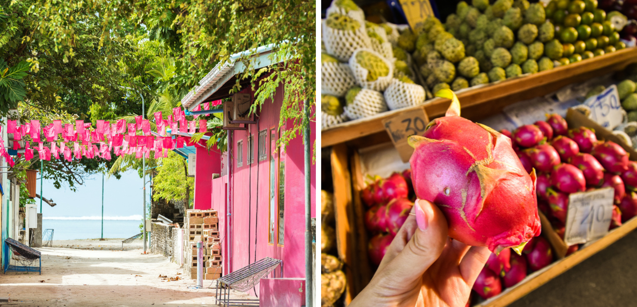 Faites le plein de couleurs et d'odeurs sur son marché