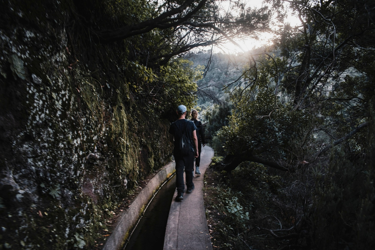 Madère, Portugal ©Karolina / Pexels 