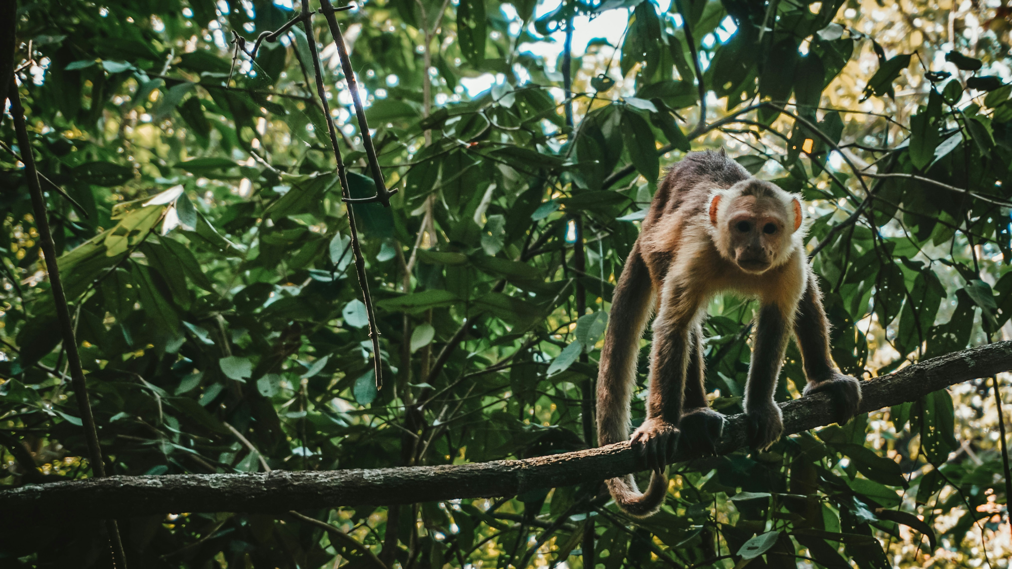 Parc national de Tayrona, Colombie