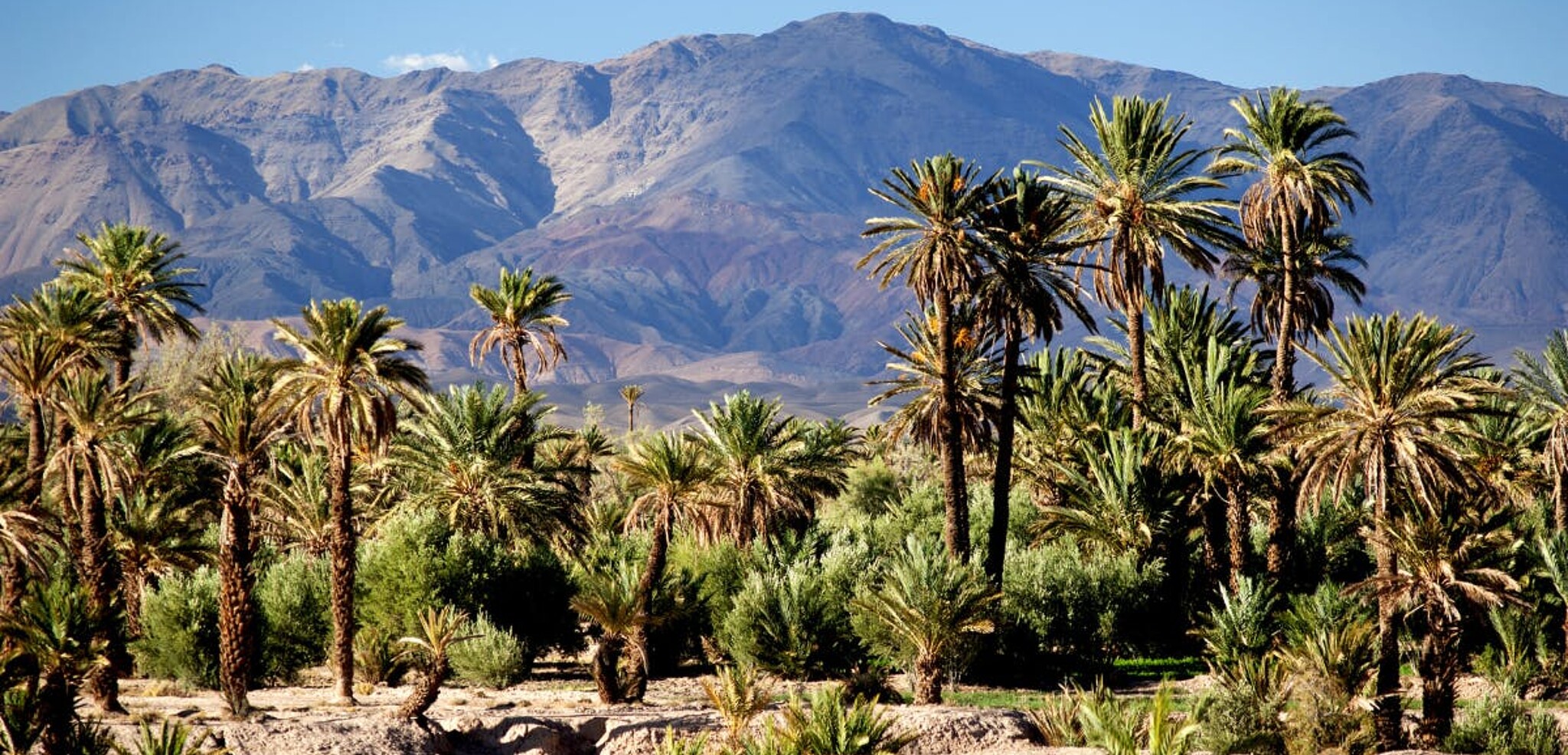 La Vallée du Drâa