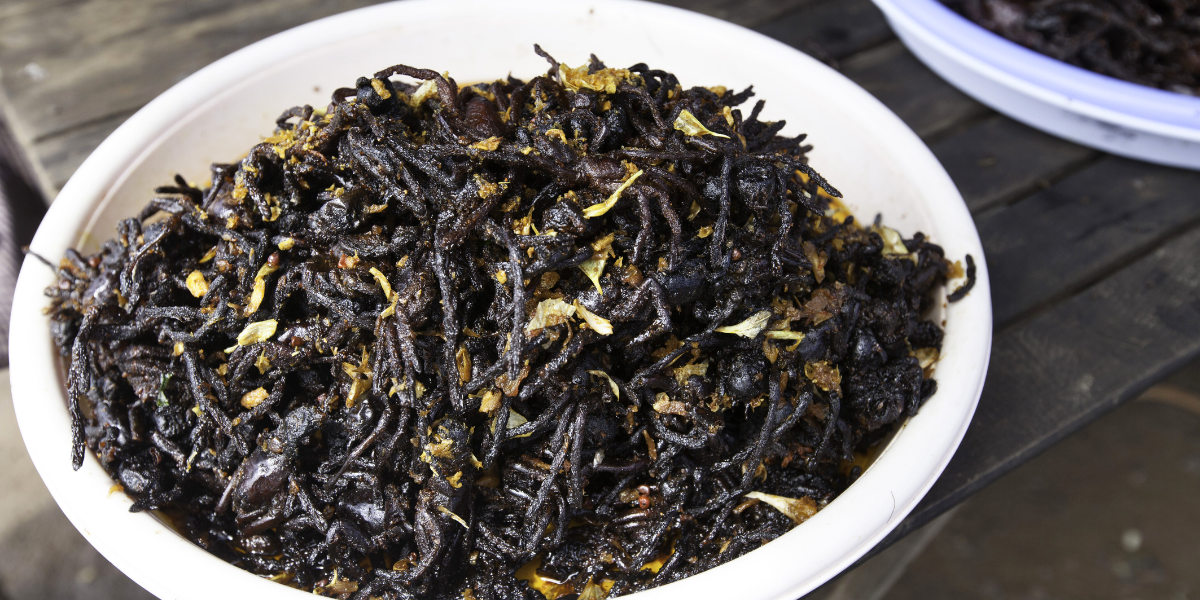 Quelques insectes grillés ça vous tente ? 