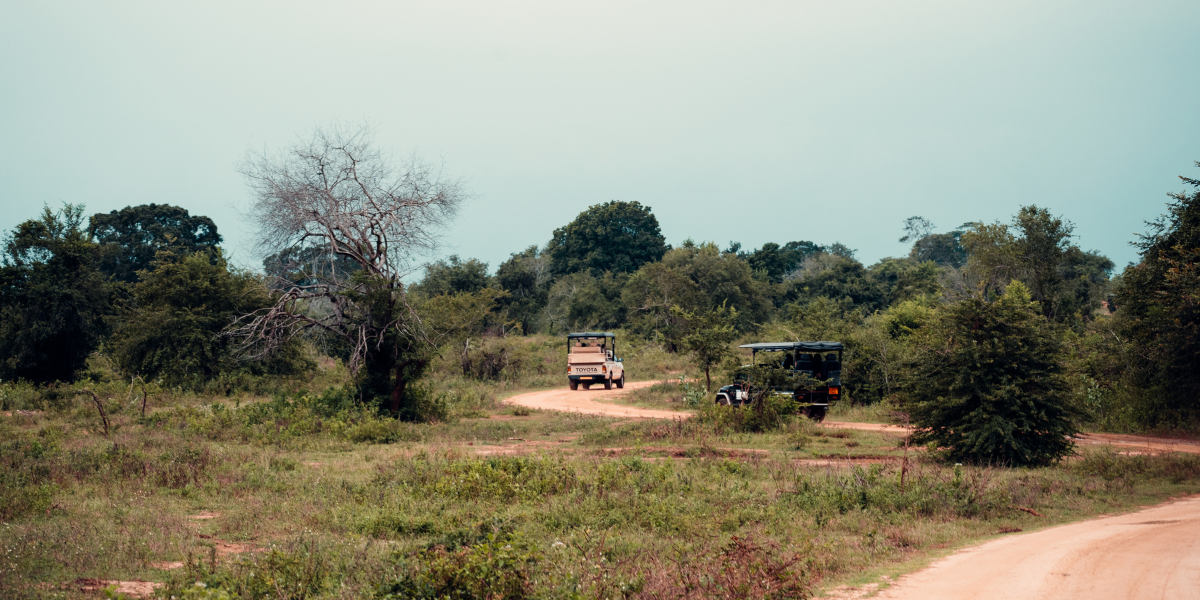 Safari 4x4 dans le Parc national d'Udawalawe, Jour 8