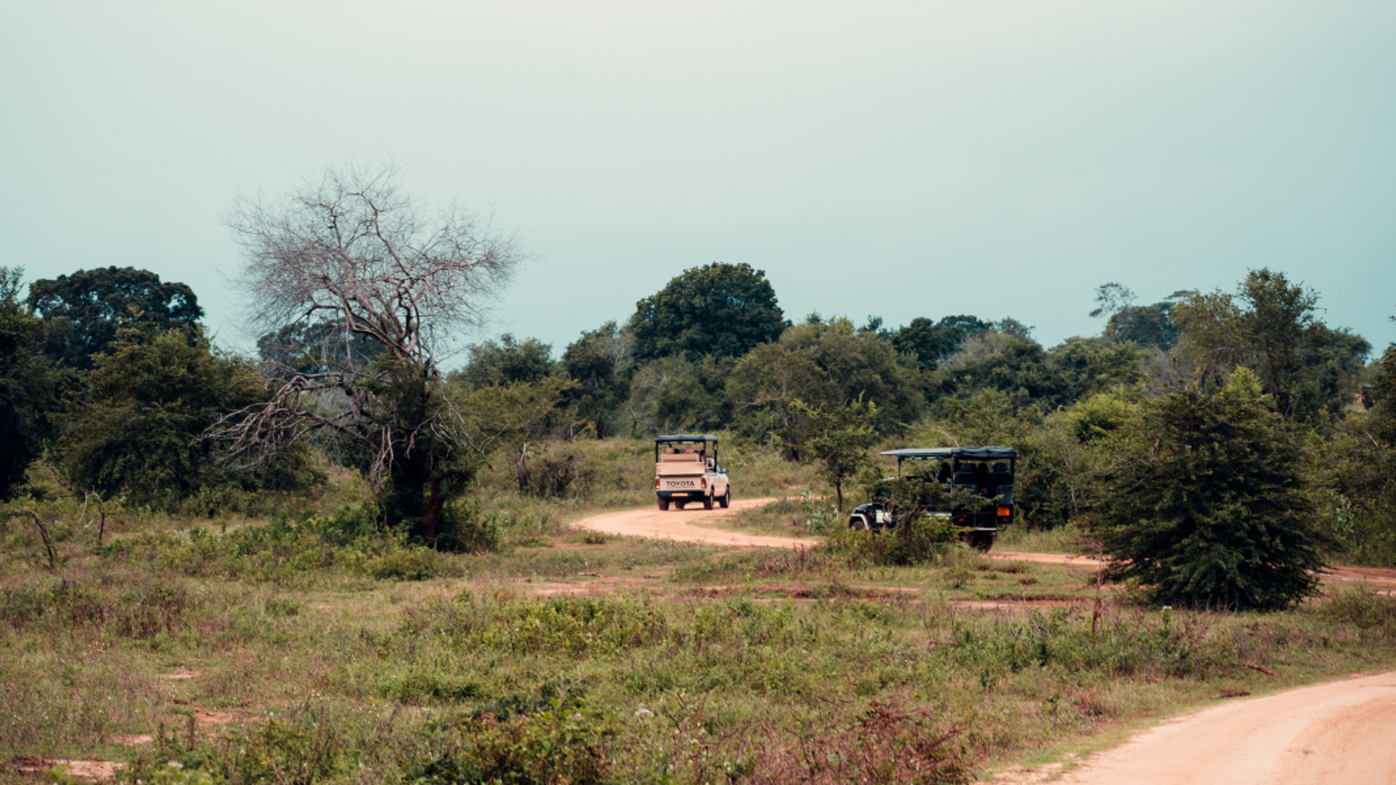 Safari 4x4 dans le Parc national d'Udawalawe, Jour 8