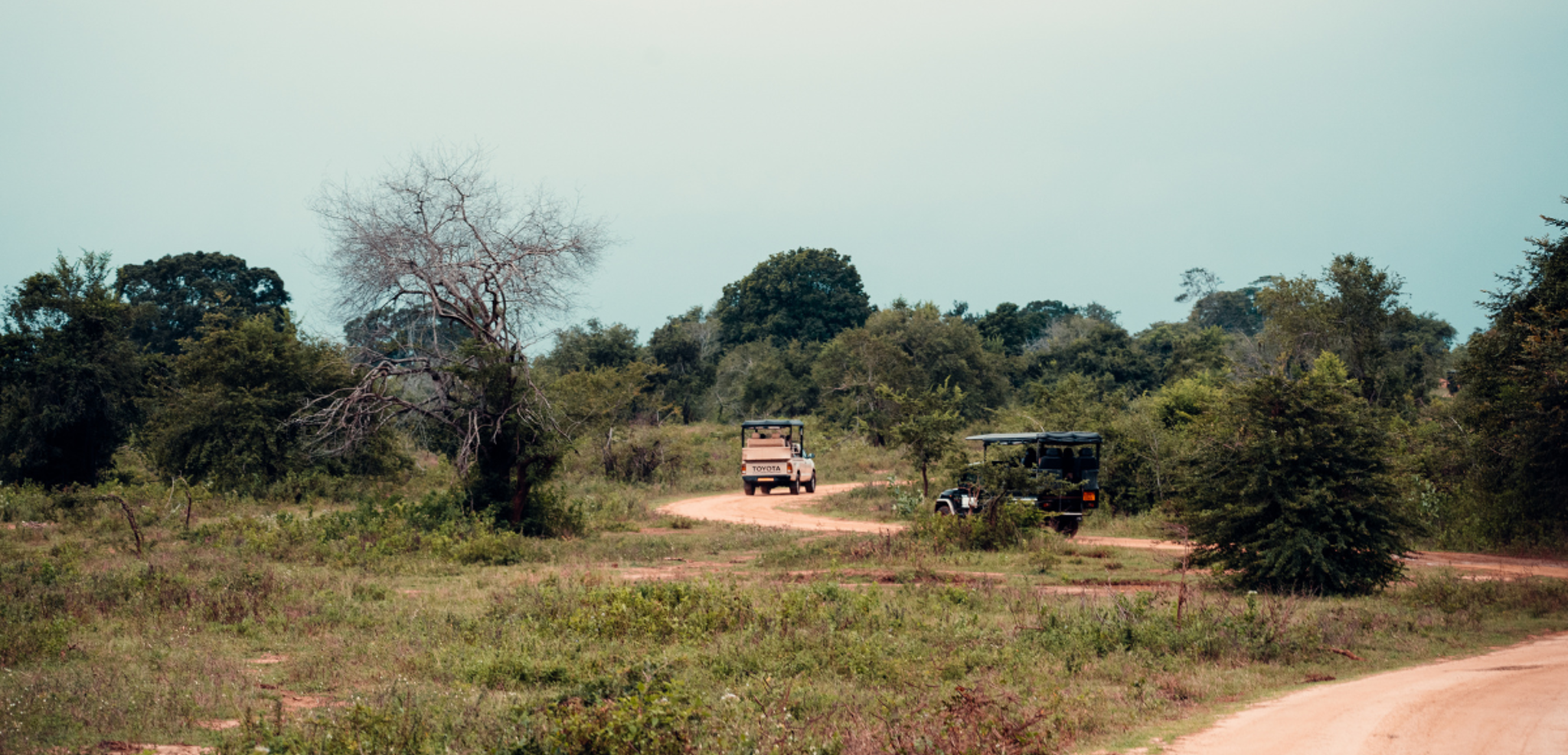 Safari 4x4 dans le Parc national d'Udawalawe, Jour 8