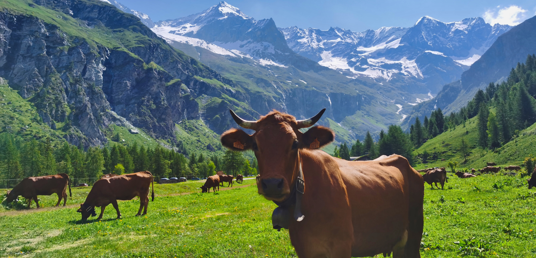 Rencontres au gré des sentiers