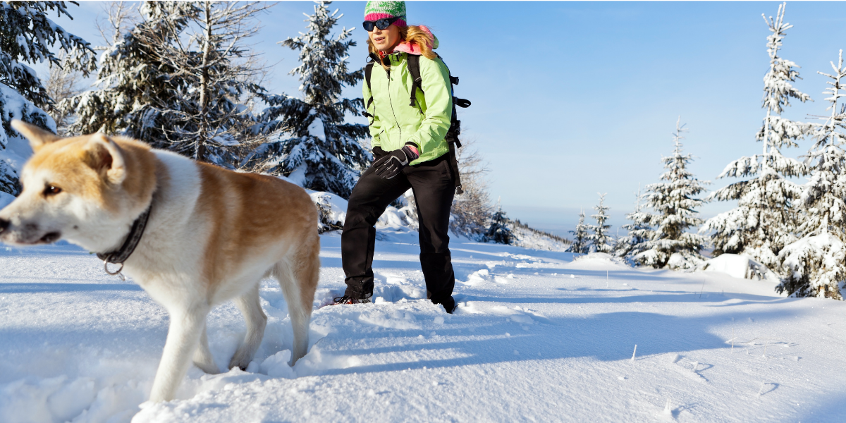 Au programme, cani rando