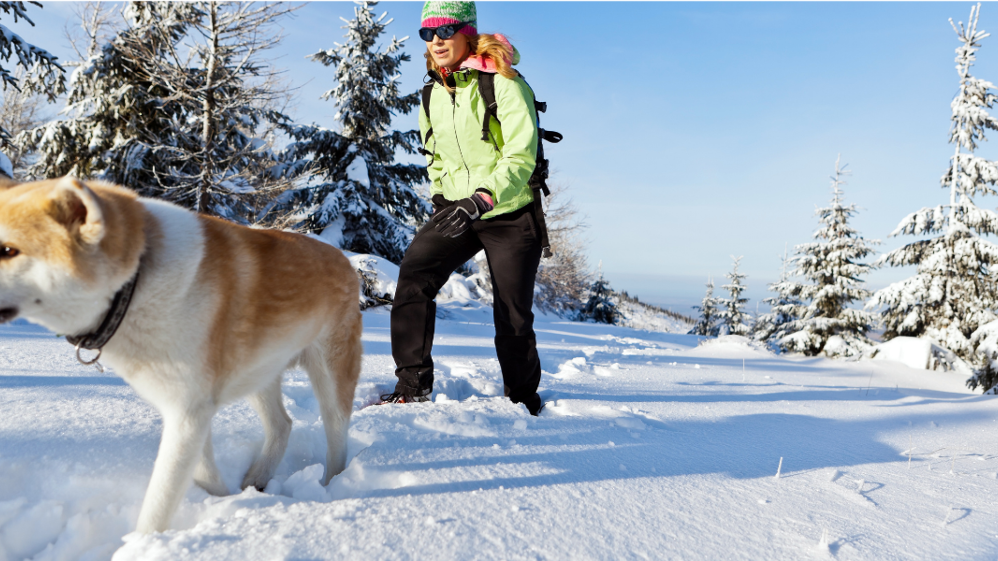 Au programme, cani rando