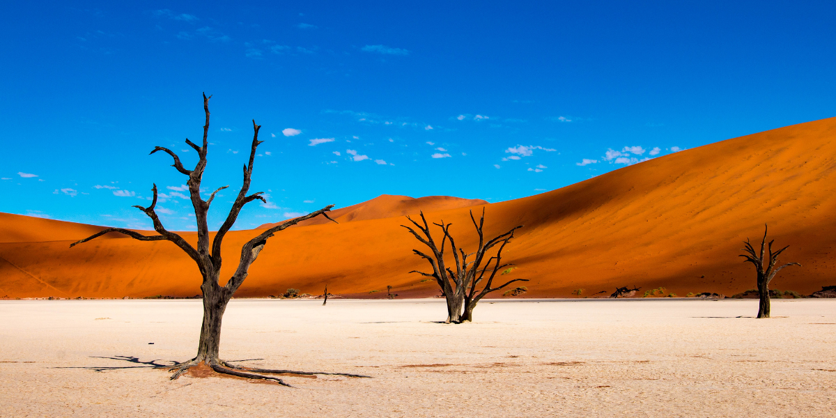 Visitez les sites exceptionnels de Deadvlei et Sossusvlei 