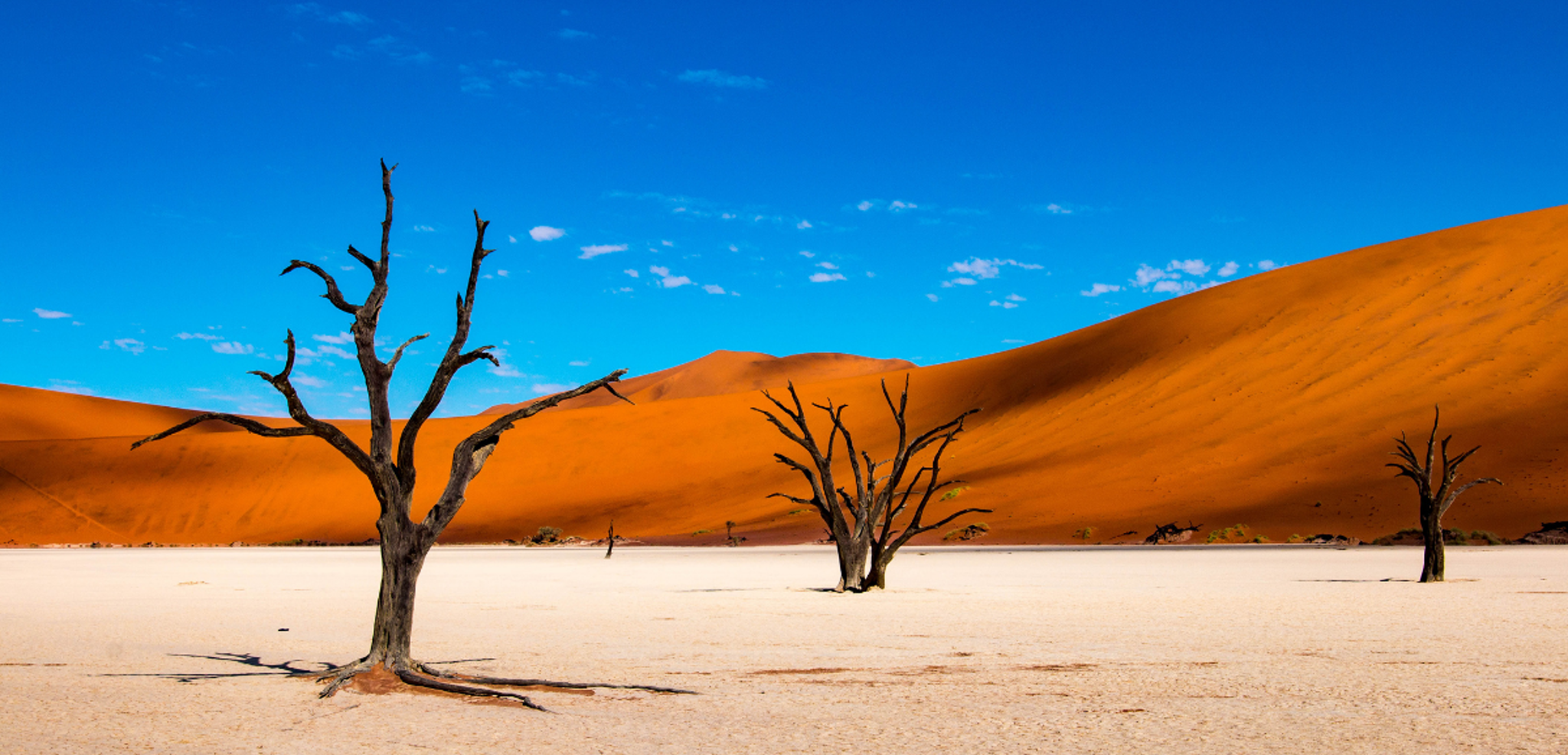 Visitez les sites exceptionnels de Deadvlei et Sossusvlei