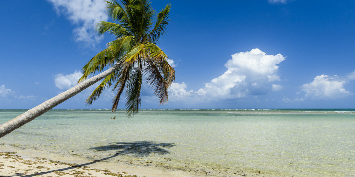 Plage paradisiaque à Moreré