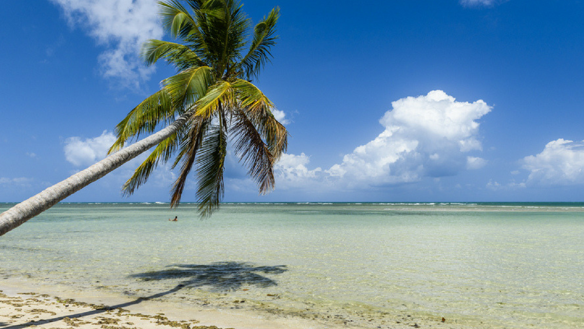 Plage paradisiaque à Moreré
