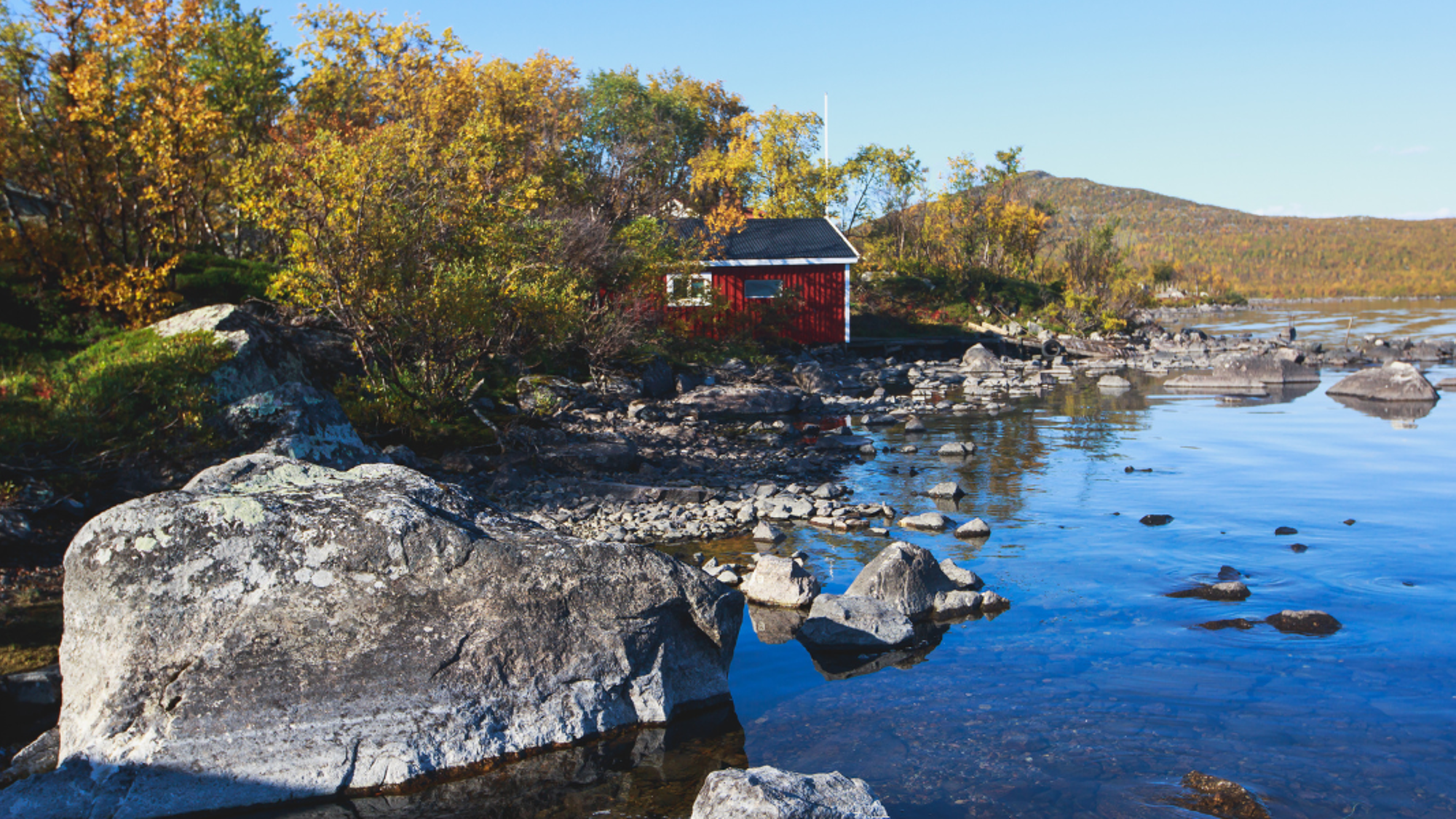 Dormez dans des chalets authentiques en plein forêt