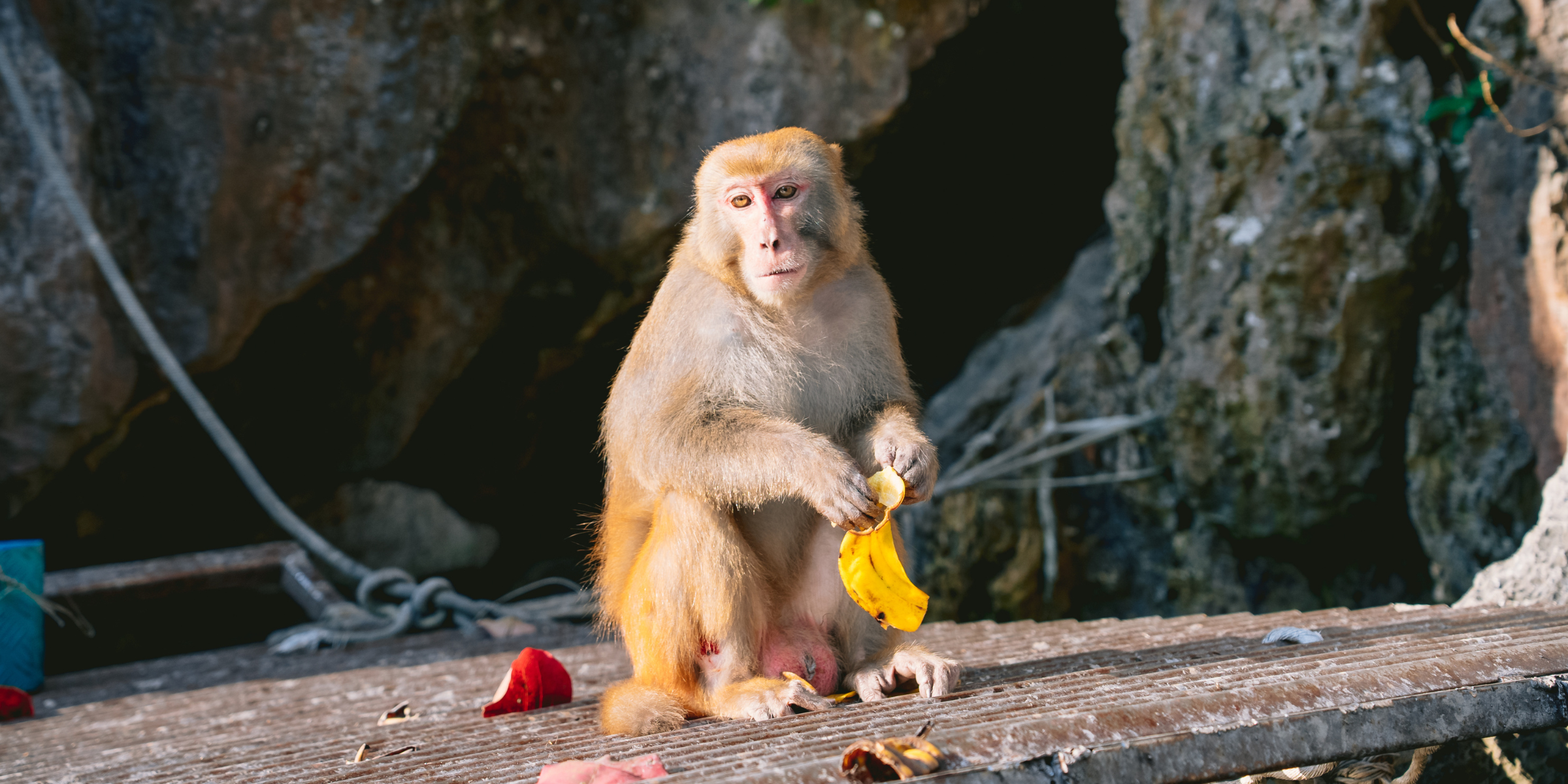 Trek et vélo, Vietnam ©Maxime Moreau 