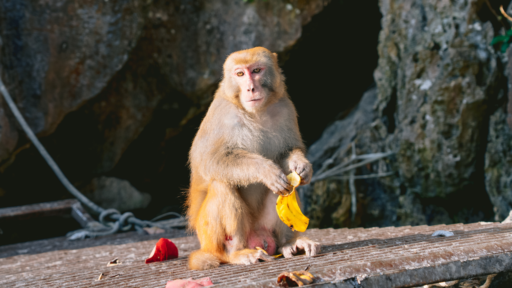 Trek et vélo, Vietnam ©Maxime Moreau