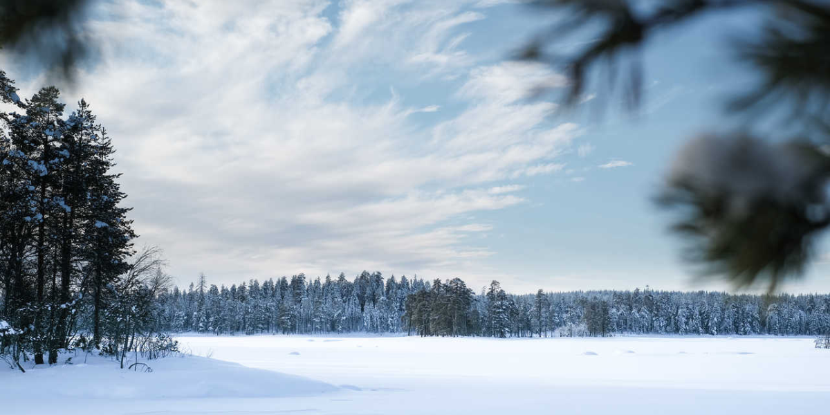 Les paysages immaculés du Parc National d'Hossa 
