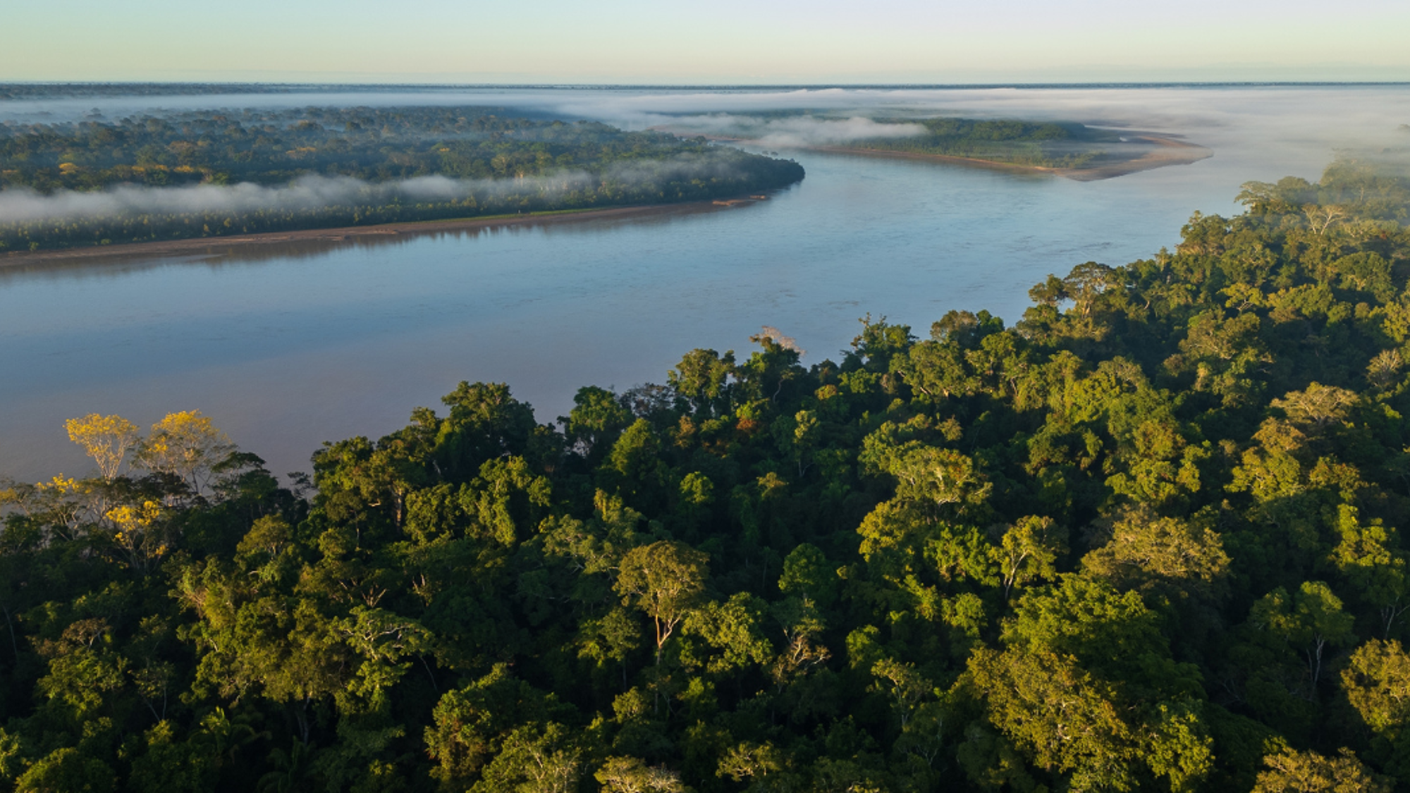 La nature luxuriante de l'Amazonie