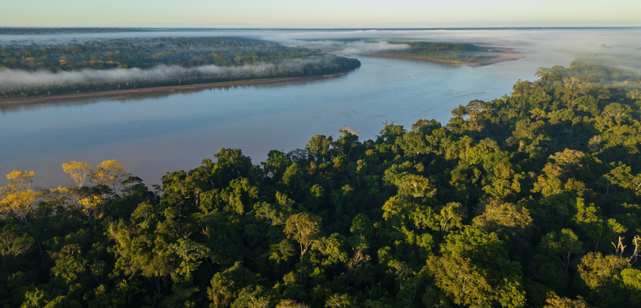 La nature luxuriante de l'Amazonie