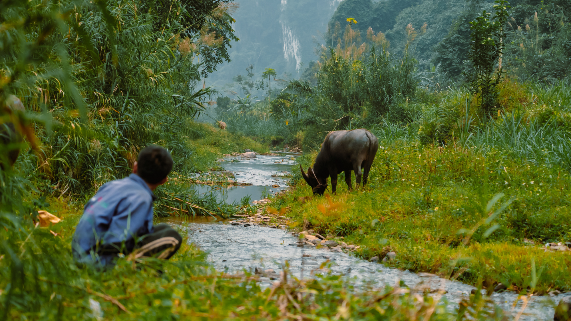 Trek et vélo, Vietnam ©Maxime Moreau