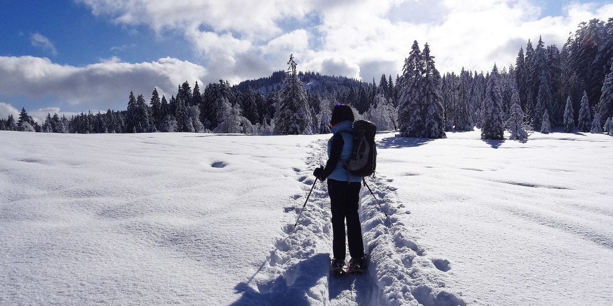 Appréciez les grands espaces et l'or blanc canadien 