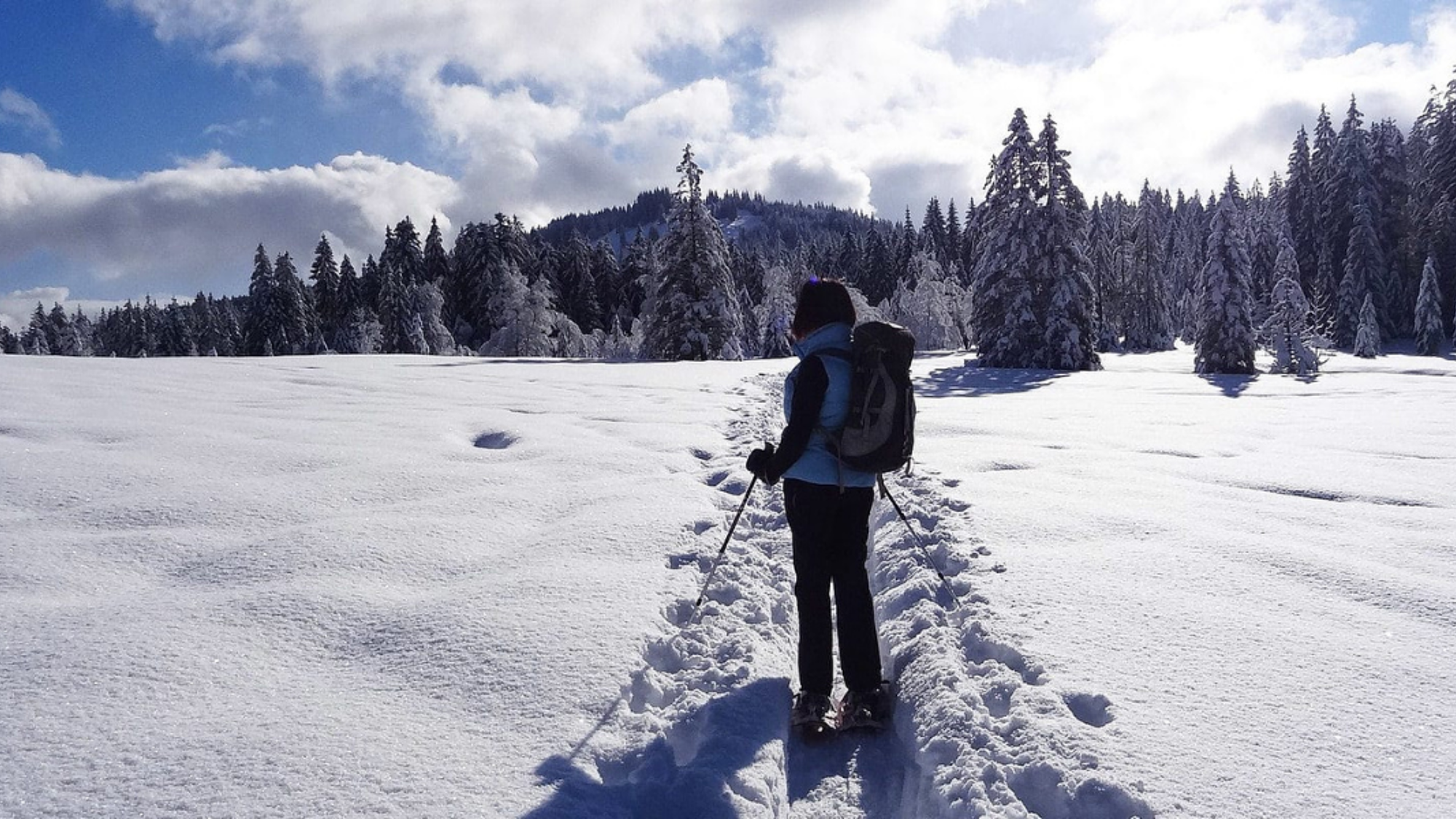 Appréciez les grands espaces et l'or blanc canadien
