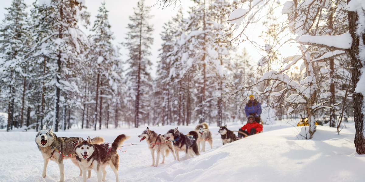 Idéal pour goûter aux plaisirs de l'hiver
