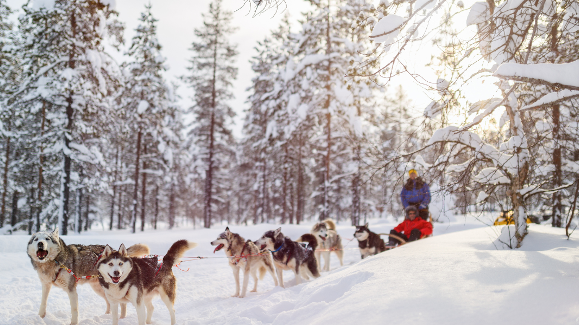 Idéal pour goûter aux plaisirs de l'hiver