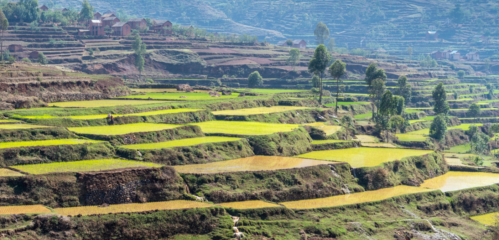 Emerveillez vous devant les paysages d'Antsirabe