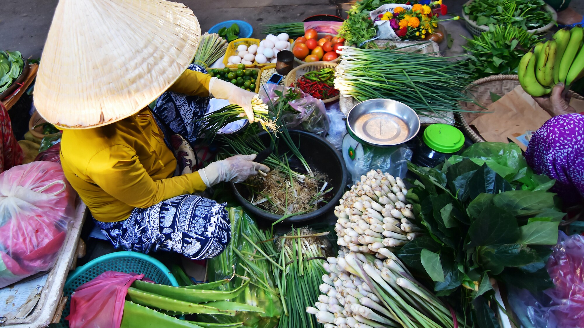 Et partez à la rencontre des locaux et de leurs traditions