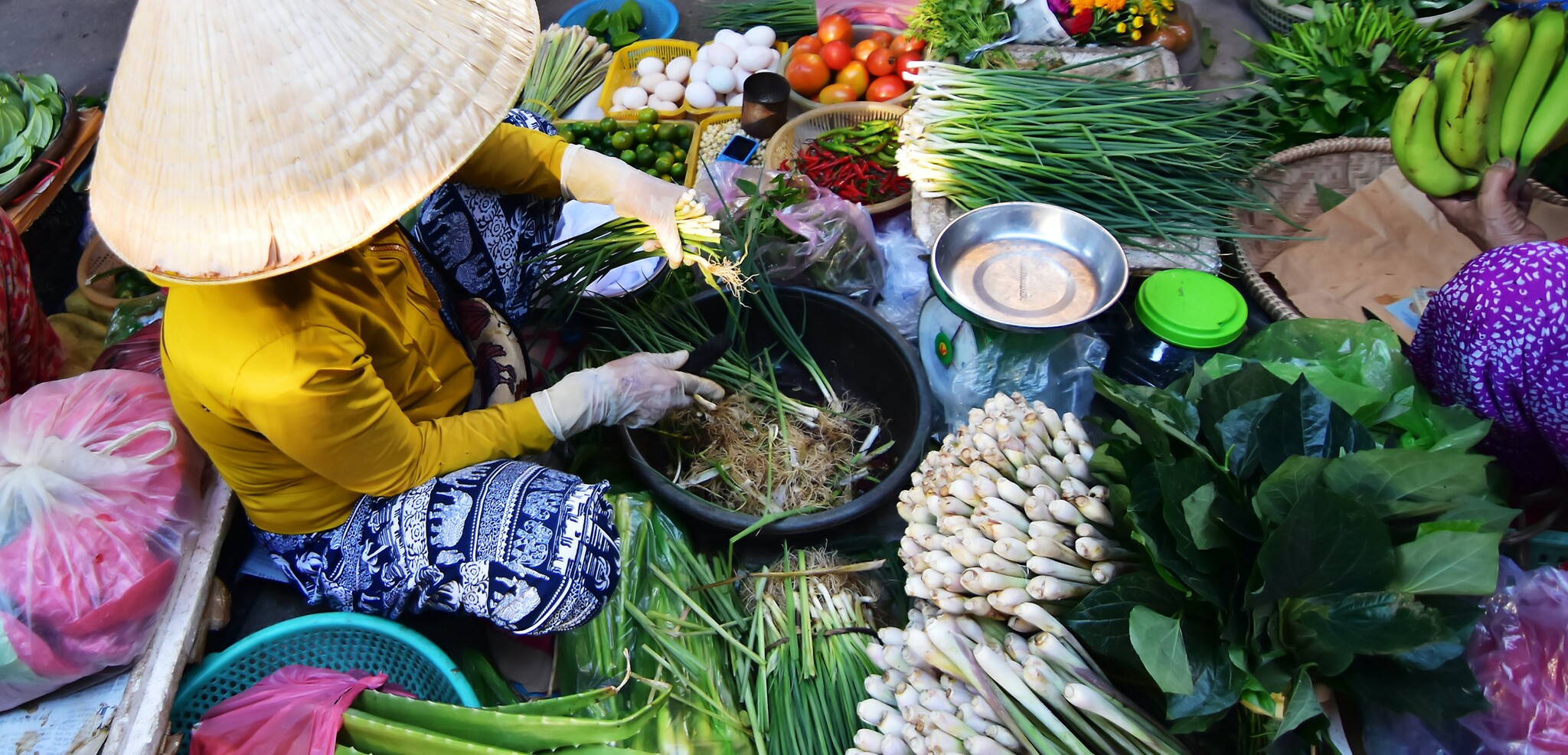 Et partez à la rencontre des locaux et de leurs traditions