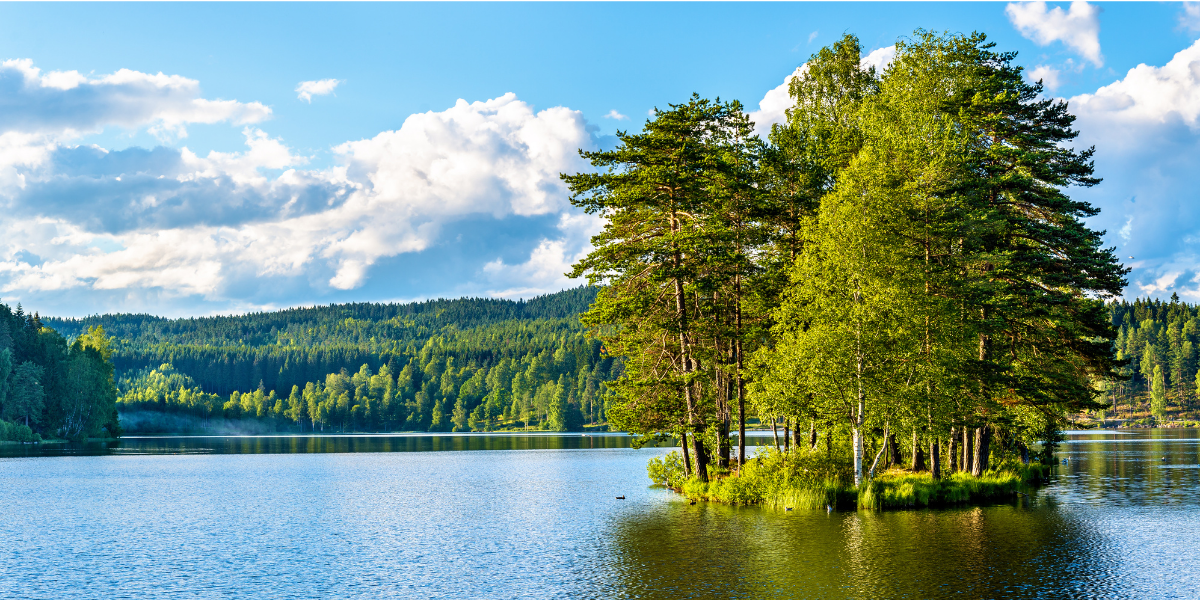 Entre nature préservée - le Lac de Sognsvann