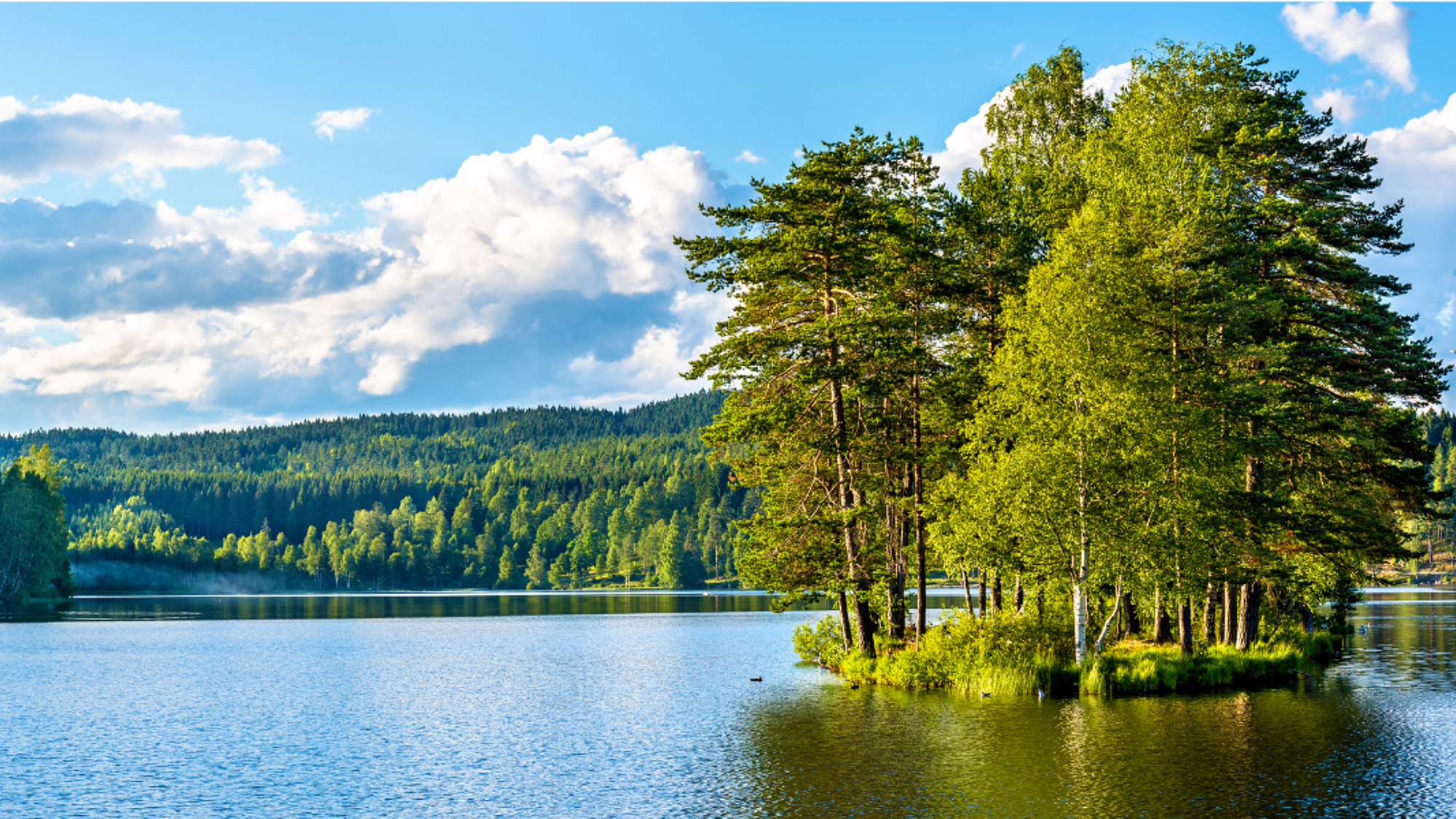 Entre nature préservée - le Lac de Sognsvann