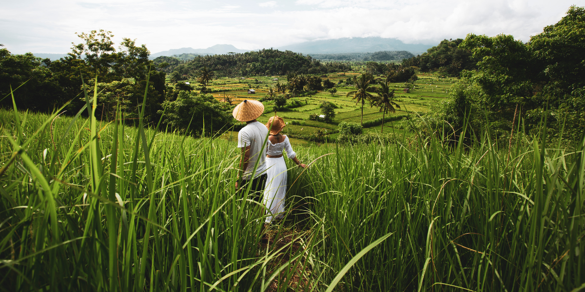 Bienvenue en Indonésie !