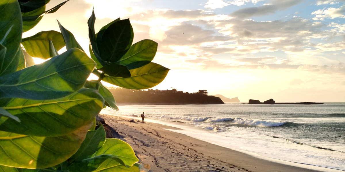 Rejoignez la côte et ses plages sauvages 