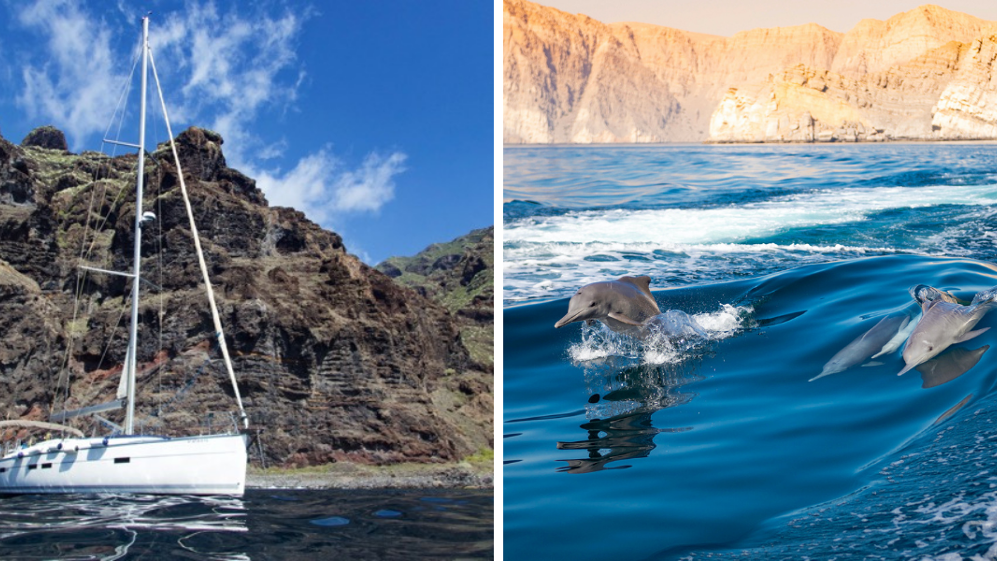 Prenez la mer pour une observation des cétacés