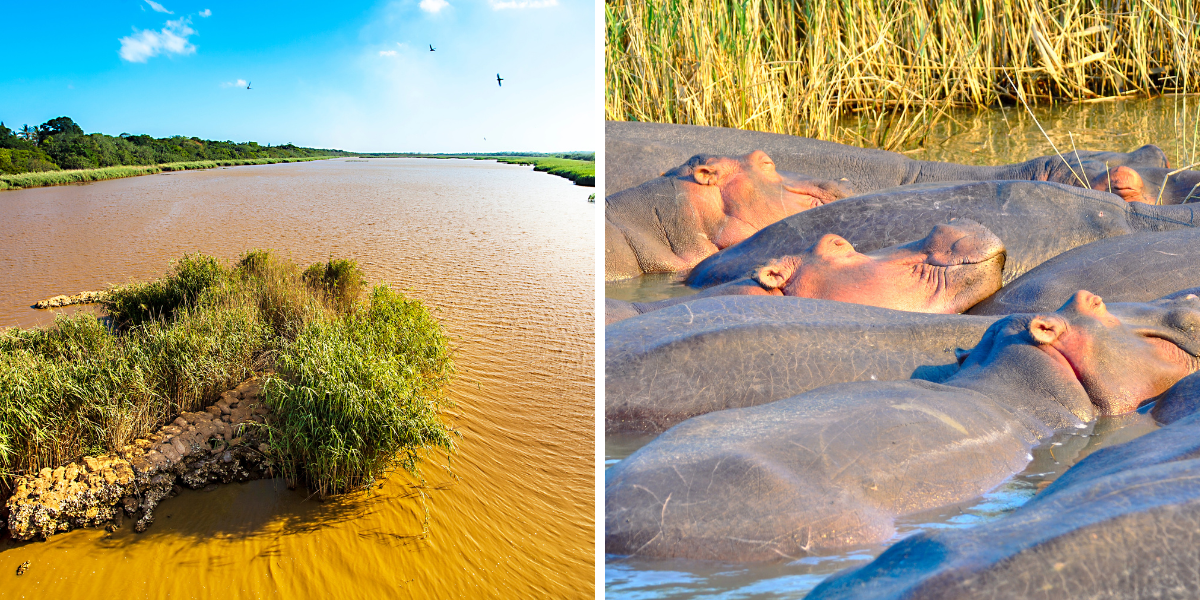 L'estuaire de Sainte Lucia