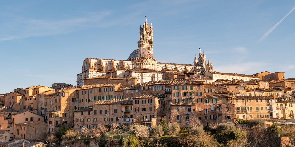 Suivez le guide pour en connaître tous les secrets ! 