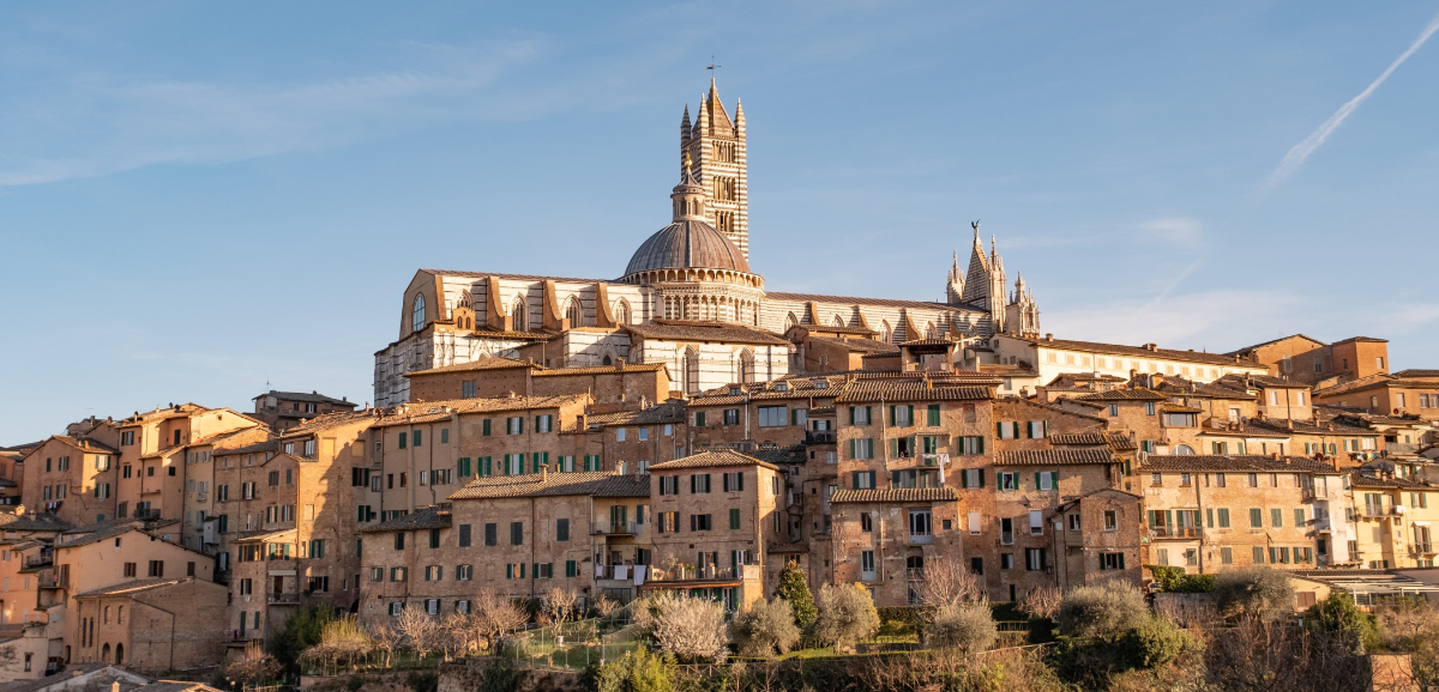 Suivez le guide pour en connaître tous les secrets !