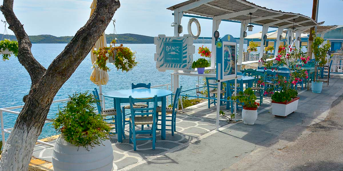 Petit spot en bord de mer