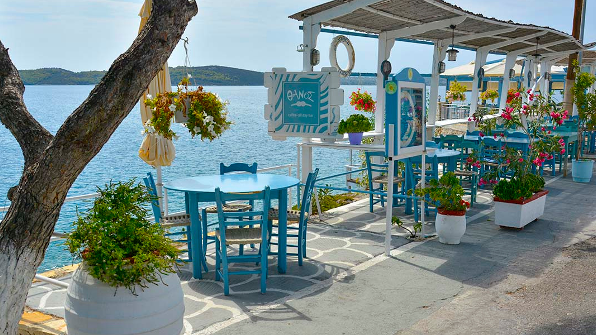 Petit spot en bord de mer