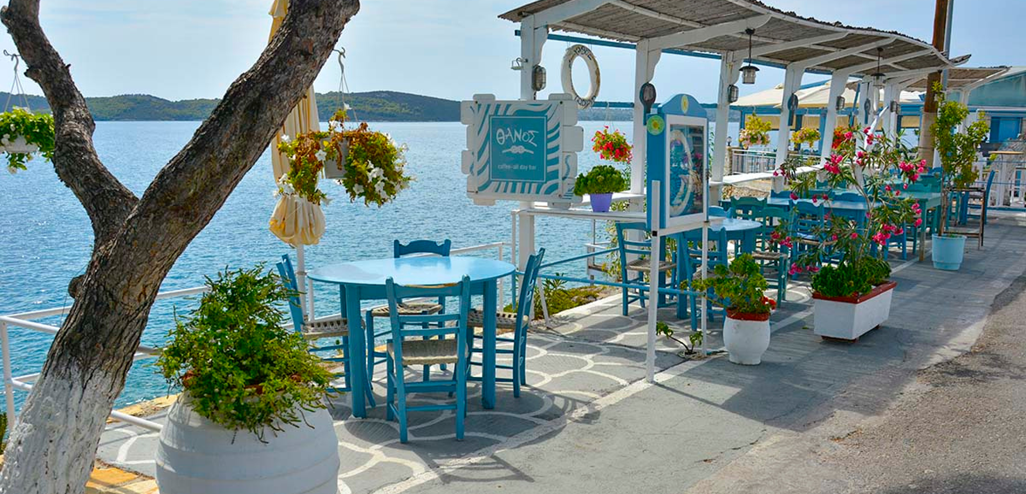 Petit spot en bord de mer