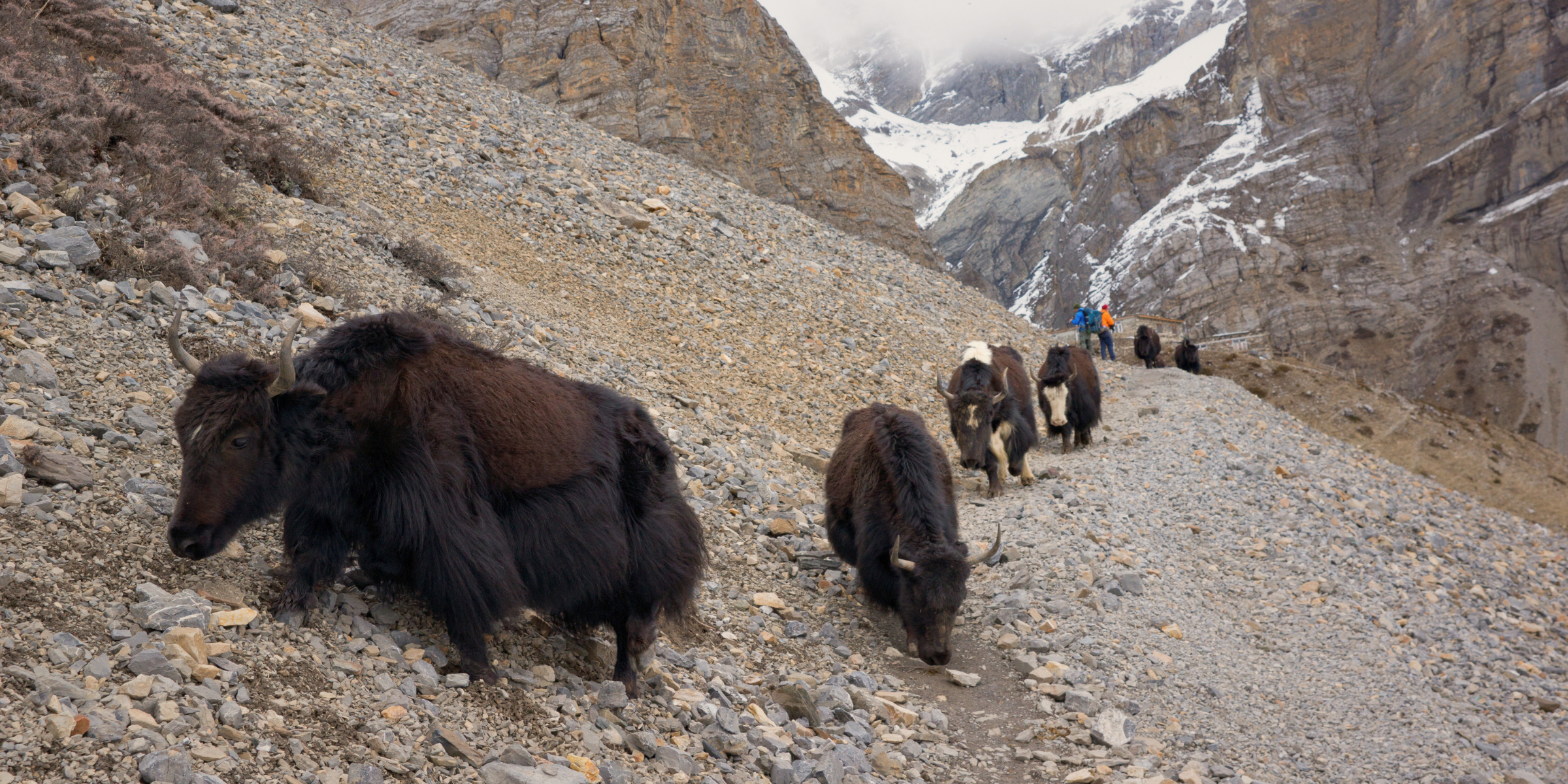 Village de Yak Kharka, Annapurnas, Népal ©Shutterstock.com 